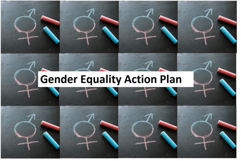 Gender Equality Action Plan image